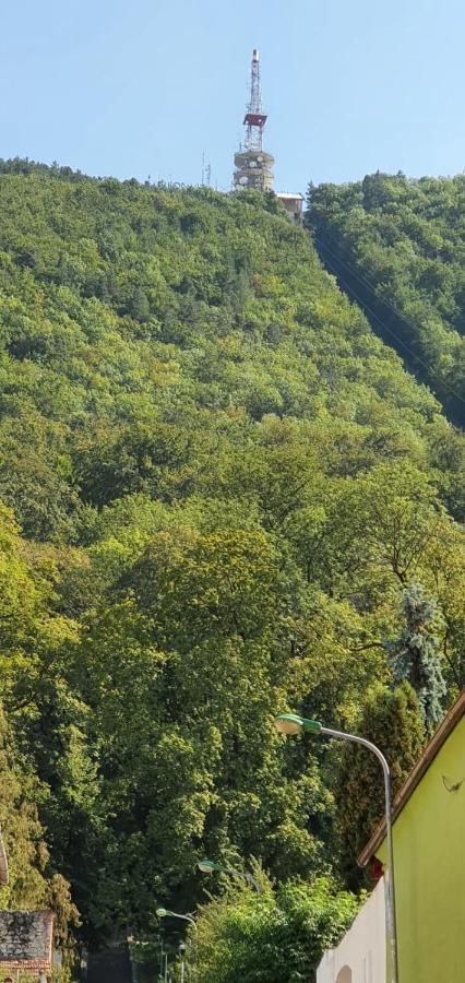 Centre Ville Brasov Ngoại thất bức ảnh
